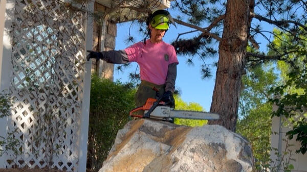 Precision ground-based tree pruning and property care in Thornton