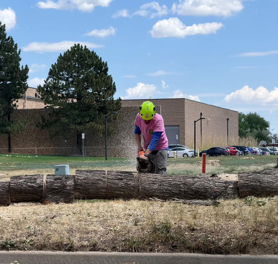 Professional chainsaw wood cutting and bucking by Emberglow in Thornton, CO